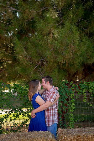 2015 Lisa + Kevin-442