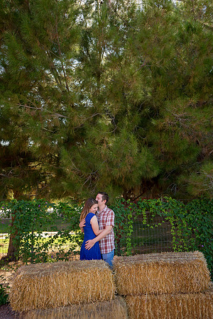 2015 Lisa + Kevin-429