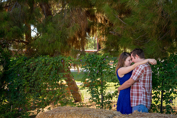 2015 Lisa + Kevin-464