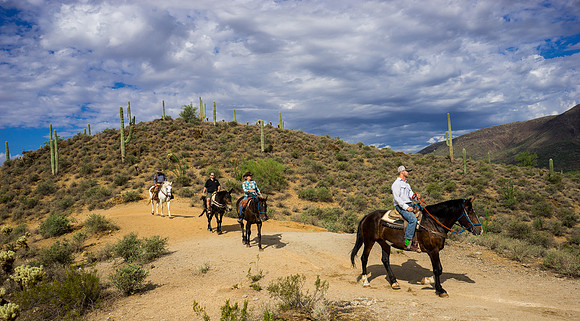 Spur Cross Stables-3-68
