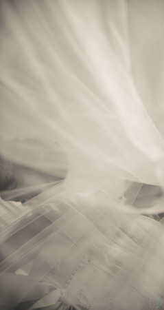 2012-12-8 FoskettCreative.com-482