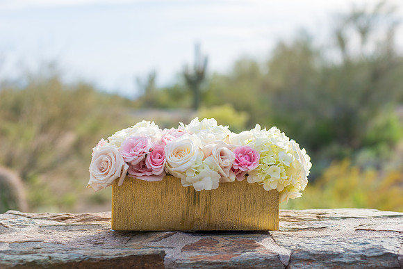 2014-2 Foskettcreative.com-212-2