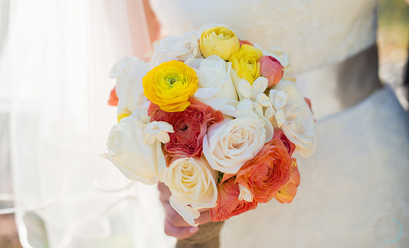 Foskettcreative.com-1479-2