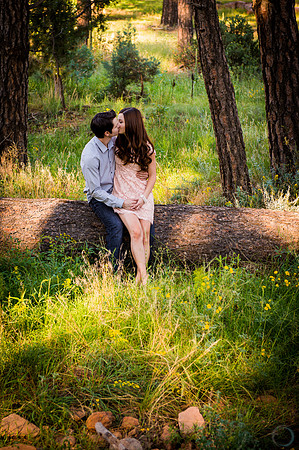 Foskett Creative 2012-9-7298