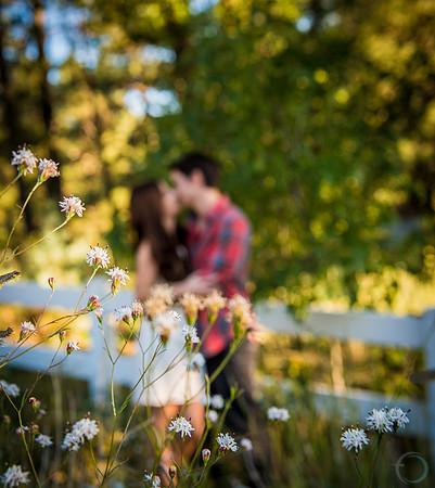 Foskett Creative 2012-9-7831