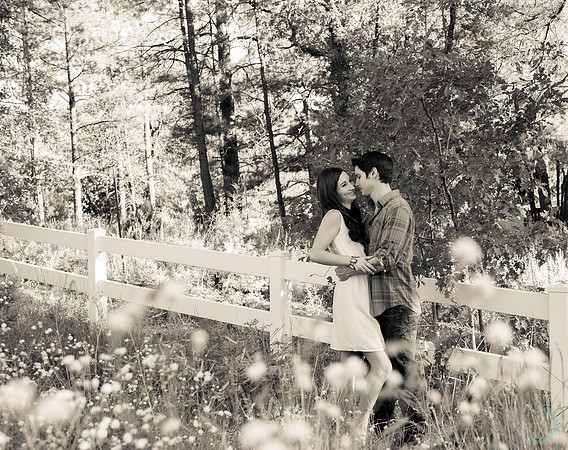 Foskett Creative 2012-9-7801