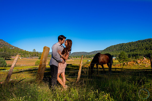 Foskett Creative 2012-9-7511