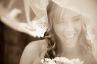 Wedding Highlights