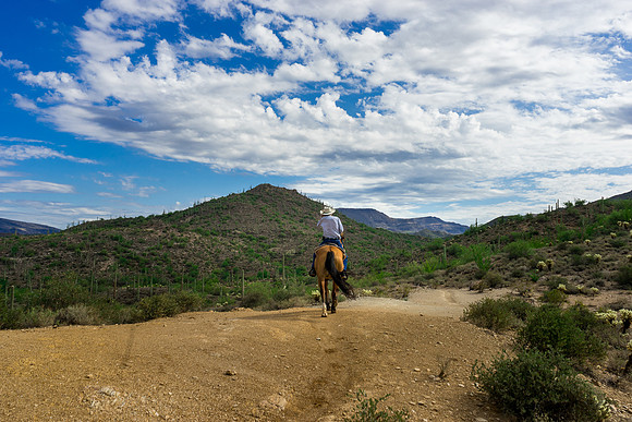 Spur Cross Stables-3-63