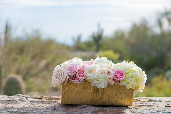 2014-2 Foskettcreative.com-213-2