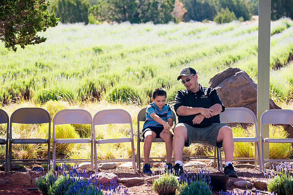 Lavender Festival - Red Rock Lavender-22