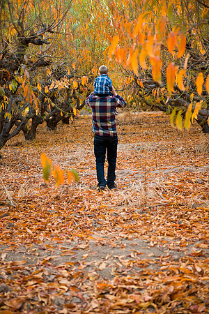 2012-11 FoskettCreative.com-57