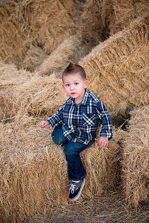2012-11 FoskettCreative.com-543