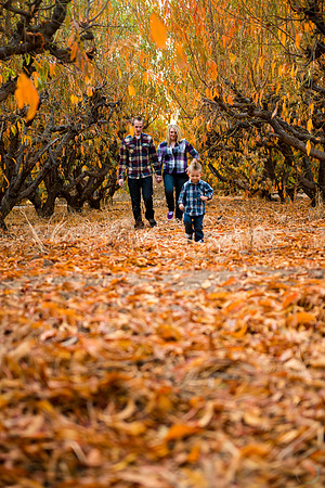 2012-11 FoskettCreative.com-123