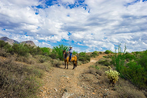 Spur Cross Stables-3-102