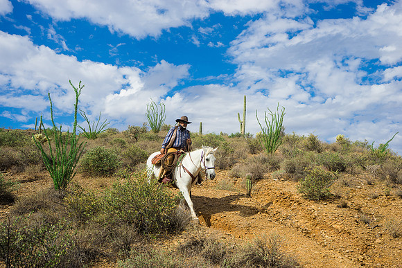 Spur Cross Stables-3-82