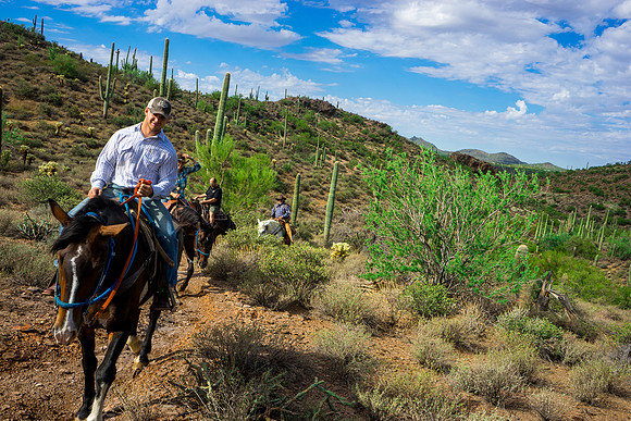 Spur Cross Stables-3-53