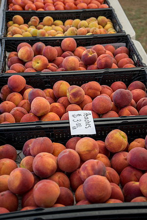 Uptown Farmers Market-139