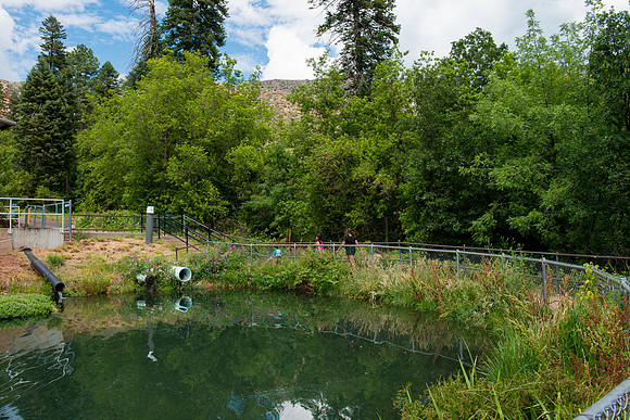 Tonto Creek Fish Hatchery-472