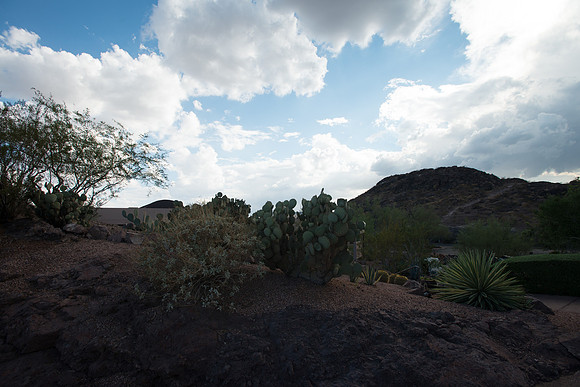 Foskett_September2014_image-1128