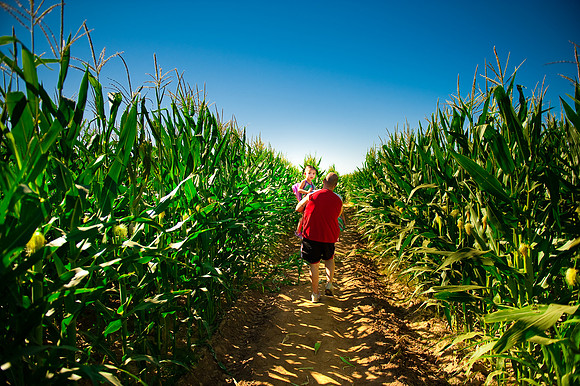 Schnepf Farms