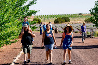 Lavender Festival - Red Rock Lavender-133