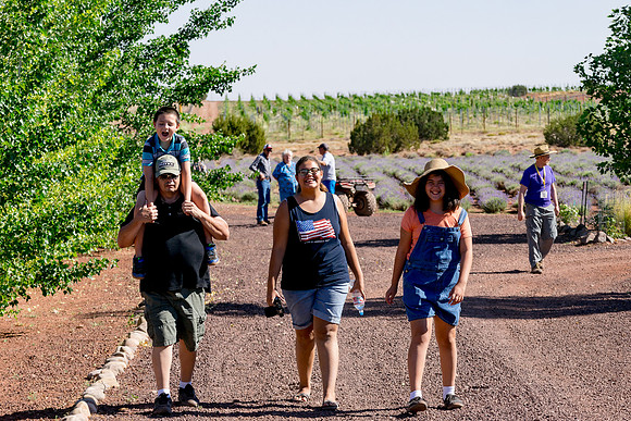Lavender Festival - Red Rock Lavender-133