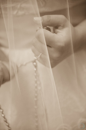 2012-12-8 FoskettCreative.com-509