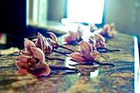 2011 Allison Wedding-3657
