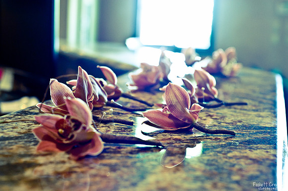 2011 Allison Wedding-3657