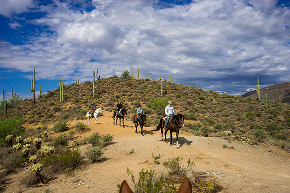 Spur Cross Stables-3-65