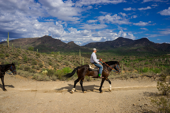 Spur Cross Stables-3-69
