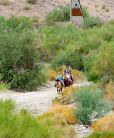 Ponderosa Stables-18
