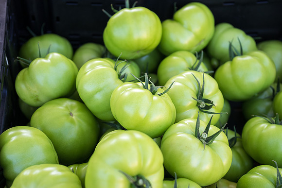 Uptown Farmers Market-115