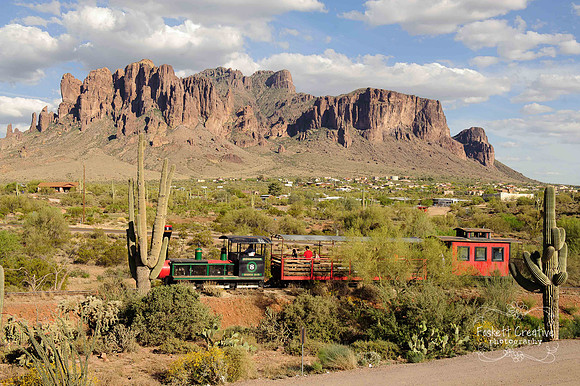 2011-Mesa CVB-495