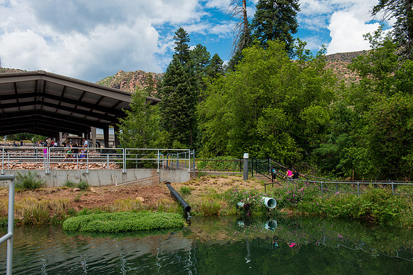 Tonto Creek Fish Hatchery-474