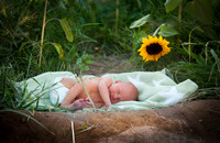 2011 Foskett Creative-1041