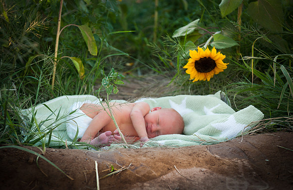 2011 Foskett Creative-1041