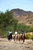 Ponderosa Stables-9