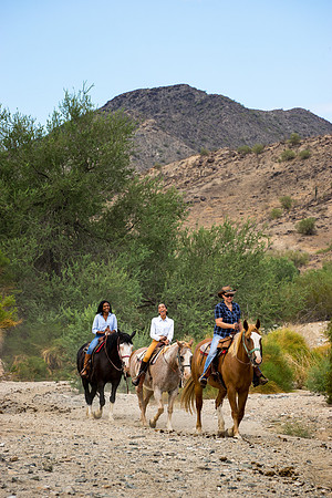 Ponderosa Stables-9