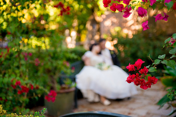 2012-12-8 FoskettCreative.com-261-3