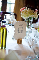 2011 Allison Wedding-6308