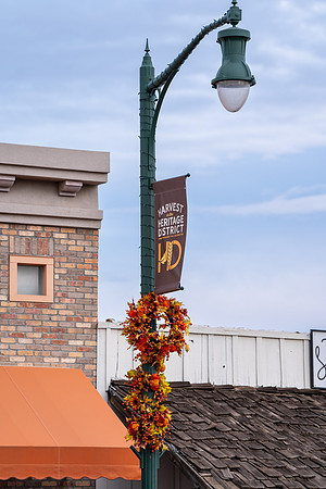 Foskett Creative 2024-5679