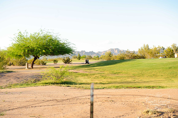 2011-Mesa CVB-796