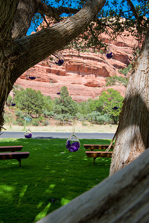 #Enchantment Resort #Encore Creative Weddings #WeddingKnoll  #FoskettCreative 201485-612