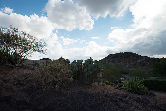 Foskett_September2014_image-1127