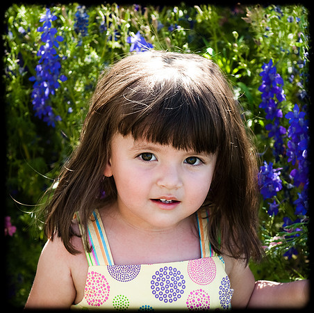 2010 Foskett Creative-236
