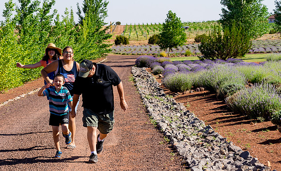 Lavender Festival - Red Rock Lavender-59
