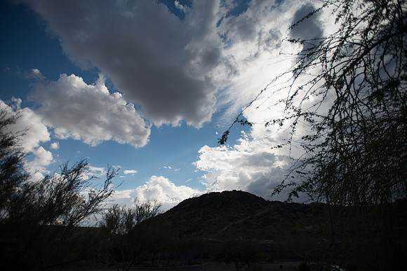 Foskett_September2014_image-1118