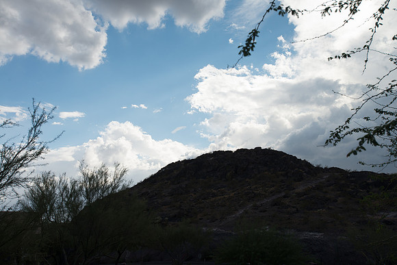 Foskett_September2014_image-1119